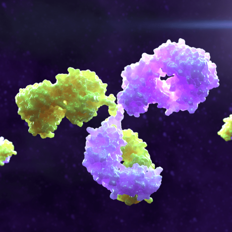 Glucose Oxidase Antibody